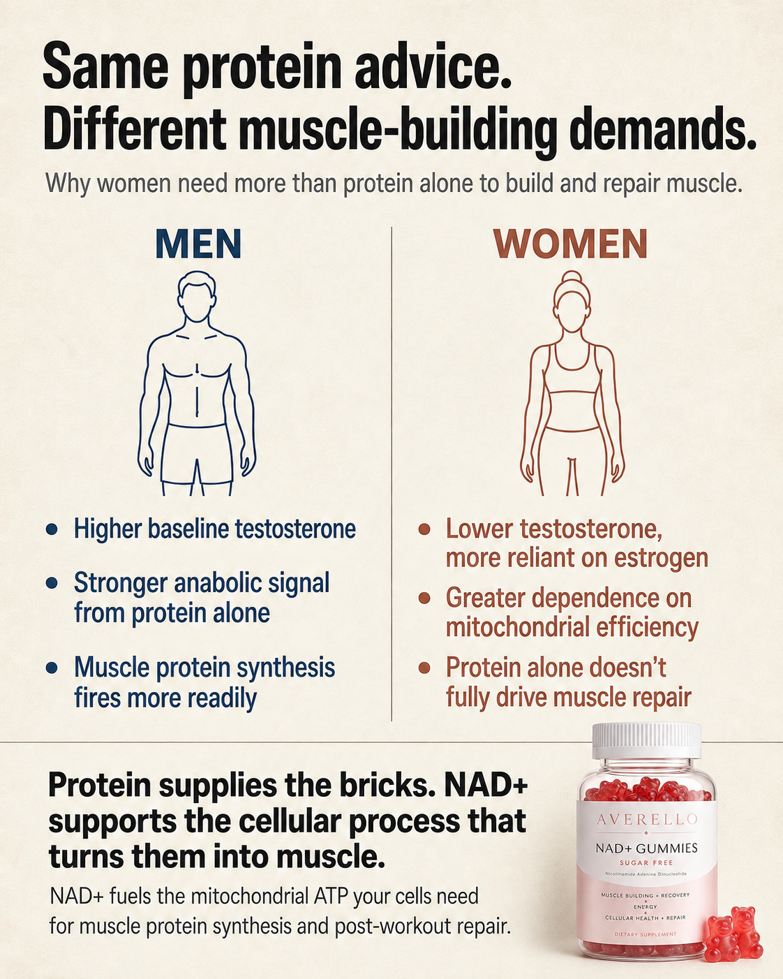 Comparison of male and female muscle-building physiology